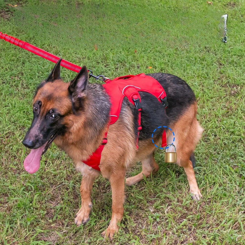 Correa de Tracción para Deportes al Aire Libre: Arnés de Pecho para Perros Medianos y Grandes