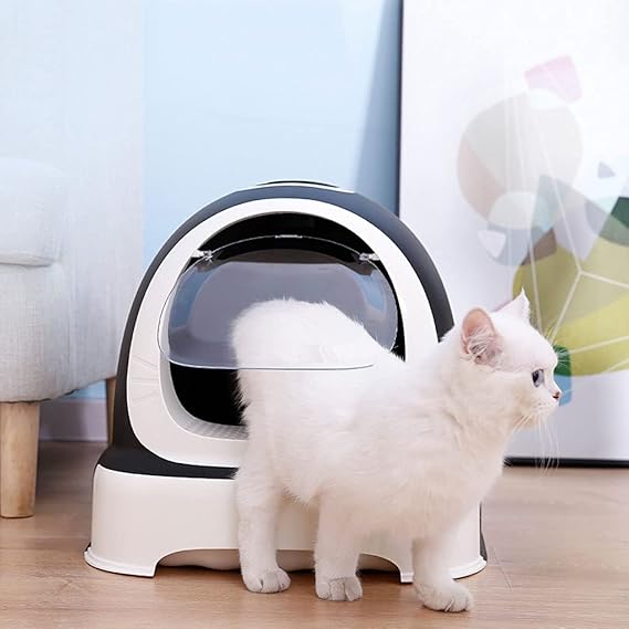 Arenera Gato Siempre Limpio