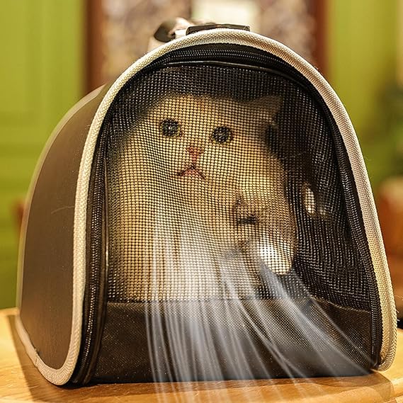 Pack Deluxe: Transportadora de Mascotas