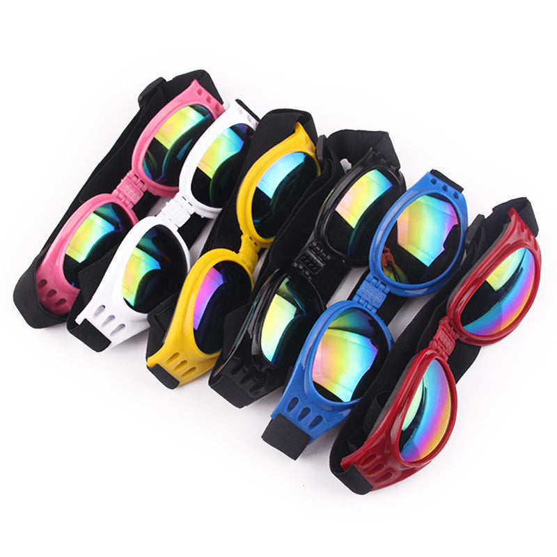 Gafas de sol para perros