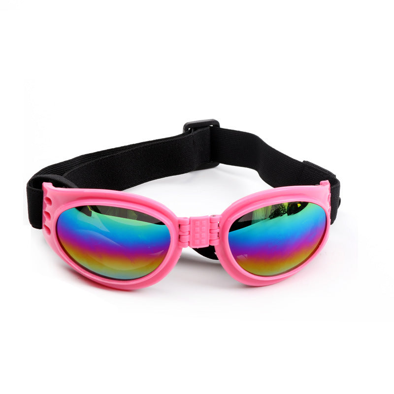 Gafas de sol para perros