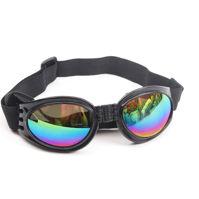 Gafas de sol para perros