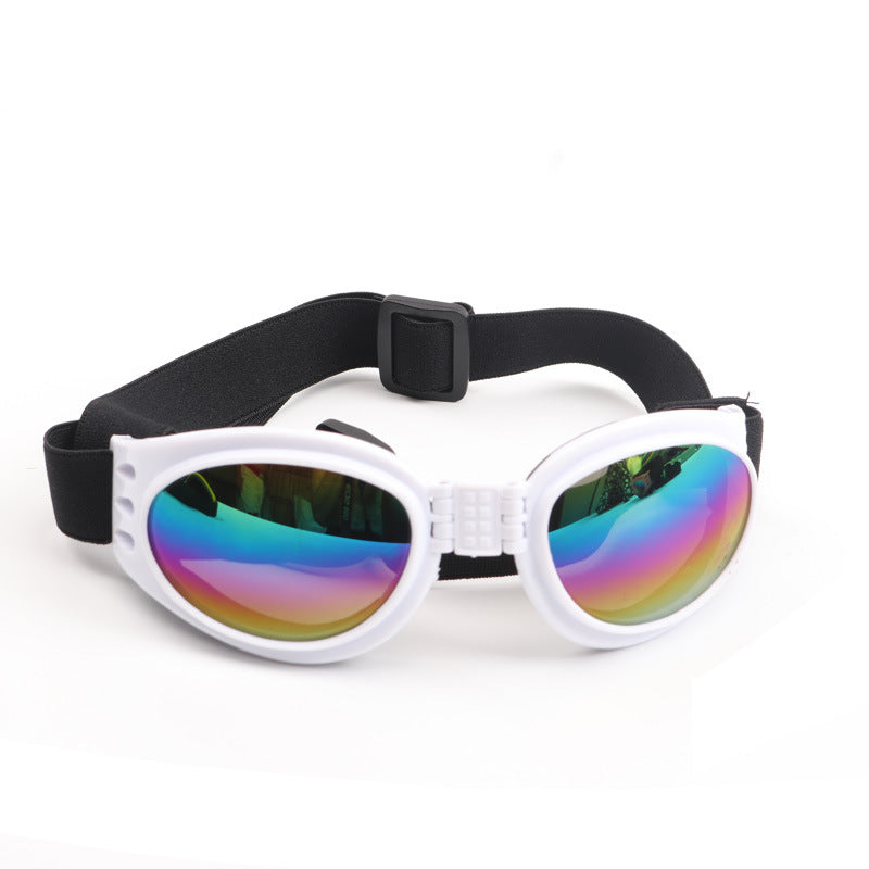 Gafas de sol para perros