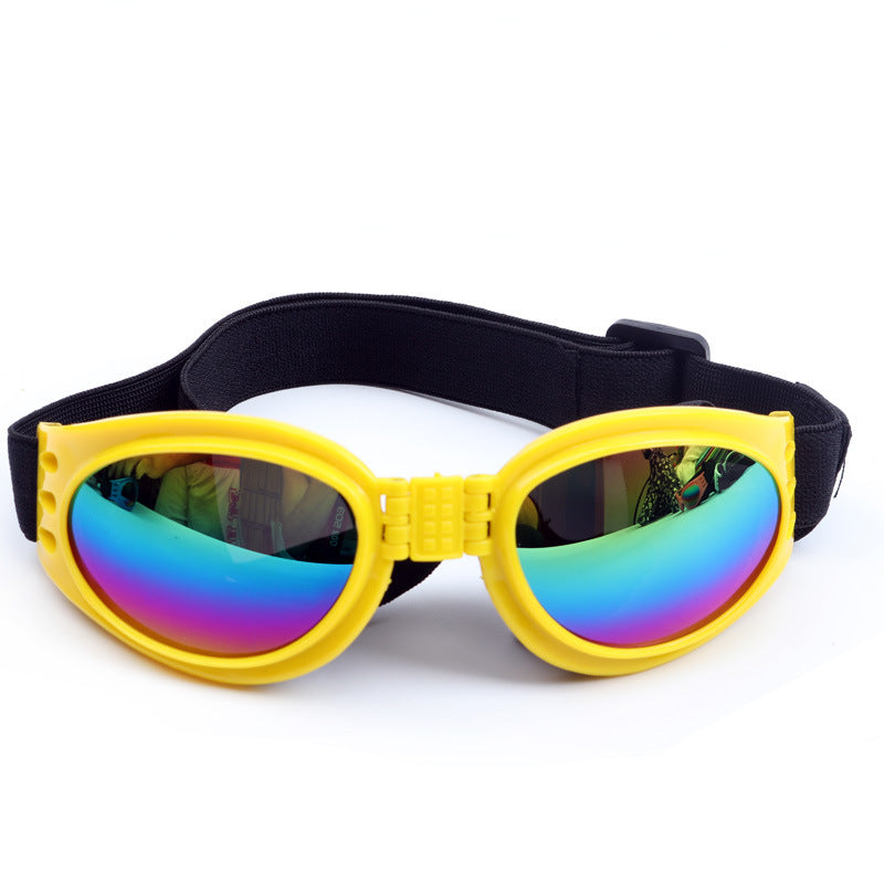 Gafas de sol para perros