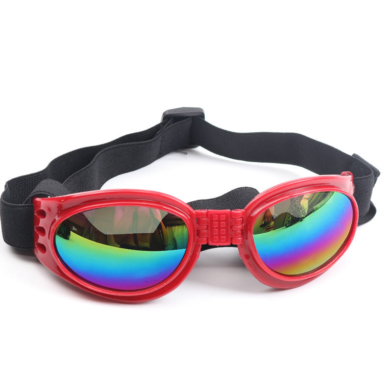 Gafas de sol para perros