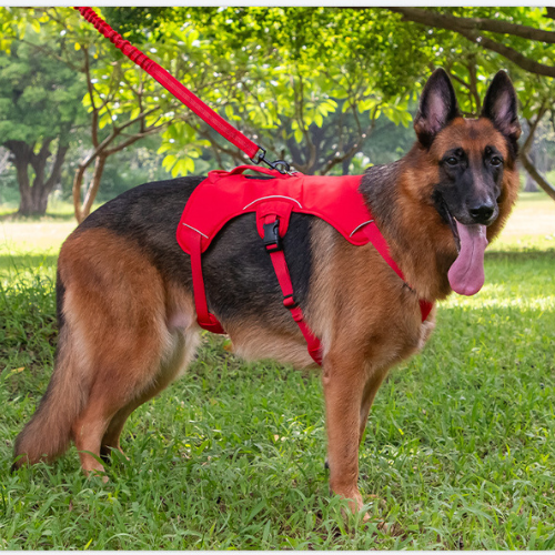 Arnes XMAX de tracción para perros
