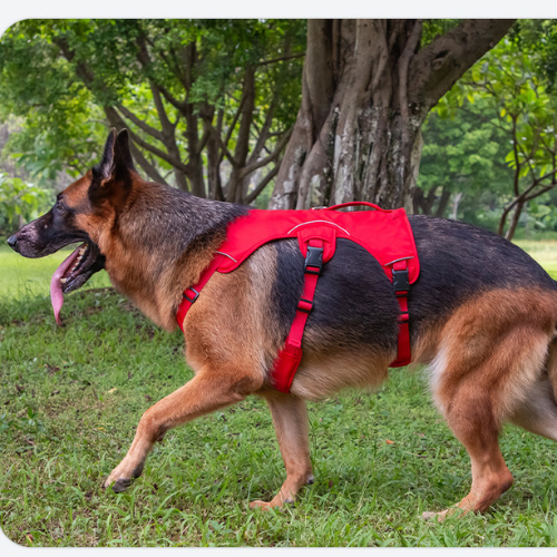 Arnes XMAX de tracción para perros