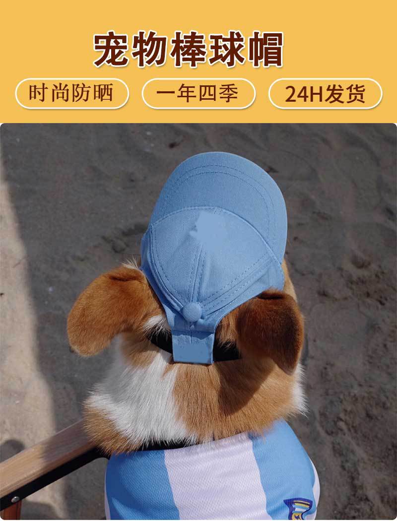 Sombreros para perros Cachorro de perro pequeño
