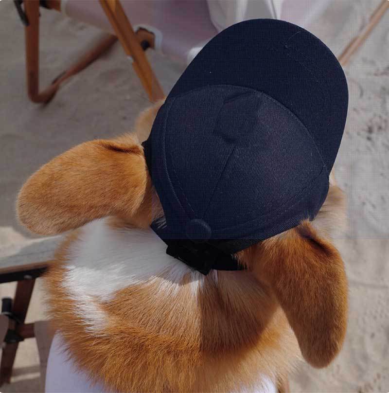 Sombreros para perros Cachorro de perro pequeño